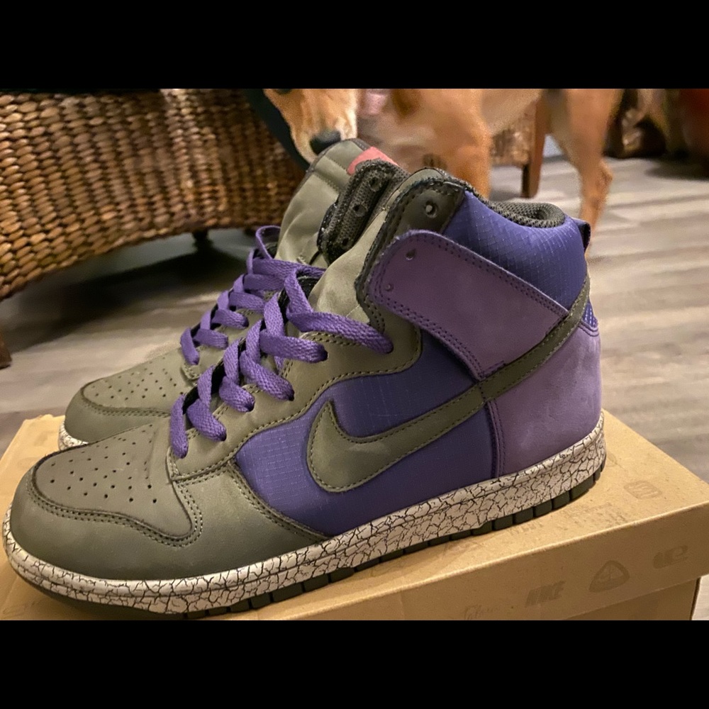COPY - Earthquake Dunk Purple